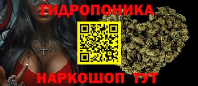 МДПВ Можга