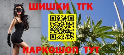 МДПВ Можга