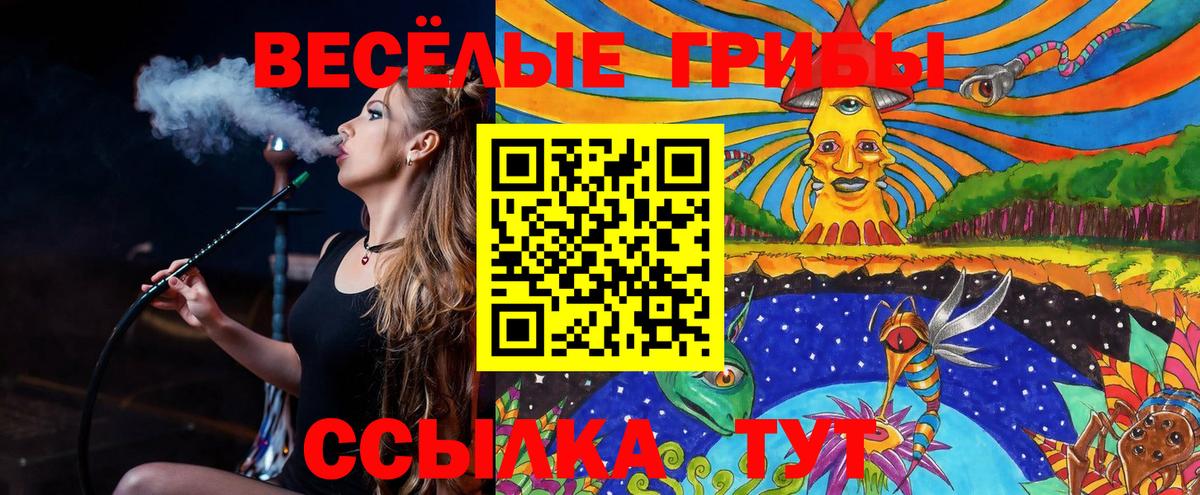 Симферополь  Псилоцибиновые грибы GOLDEN TEACHER  Вход с VPN 