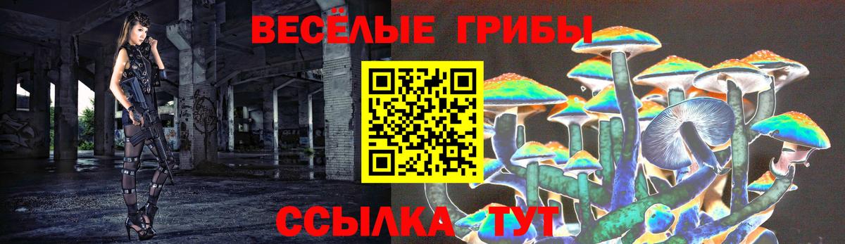 Псилоцибиновые грибы Psilocybe Симферополь